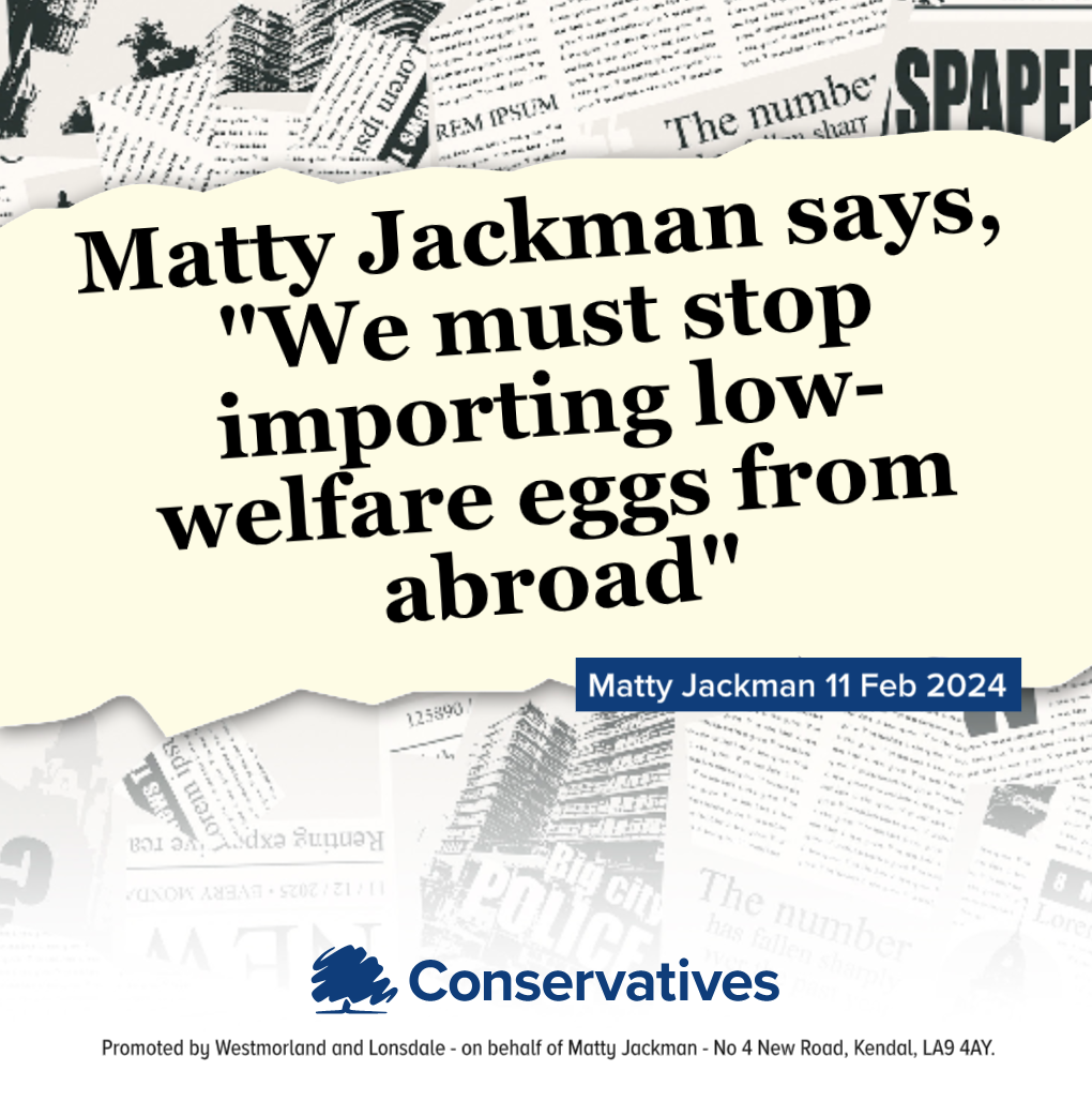 More low welfare Eggs