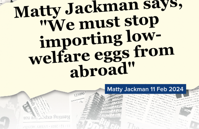 Low welfare eggs quote