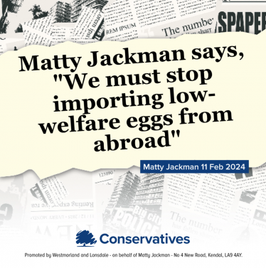 Low welfare eggs quote